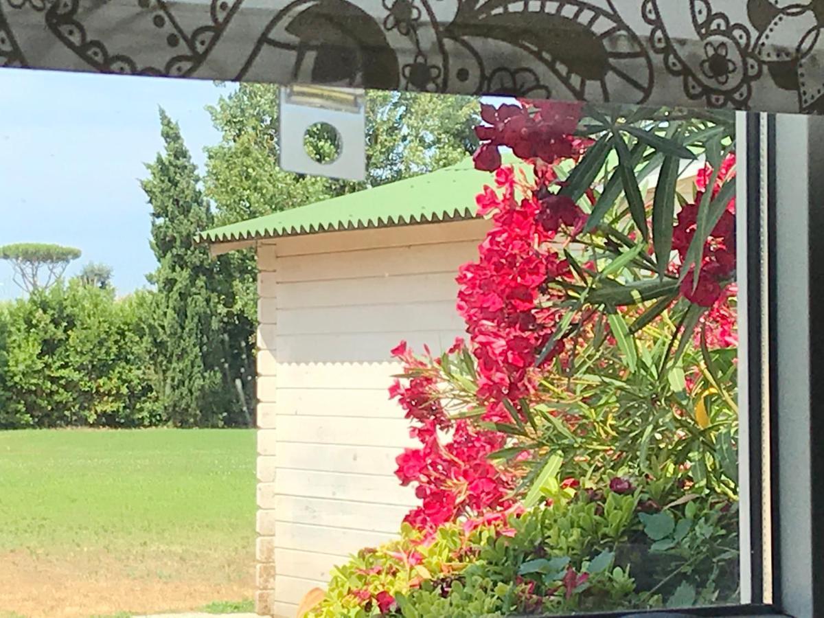 Podere Venanzio ลิโด ดิ กามาโยเร ภายนอก รูปภาพ